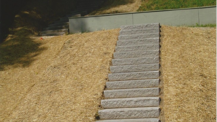 Stone steps leading up to a pathway behind a house